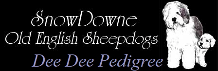 Dee Dee Pedigree